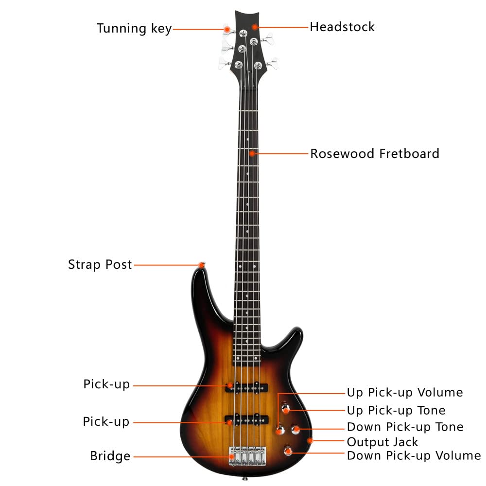 Amazon.com: Ktaxon Electric Bass Guitar 5 String Bass Guitar with
